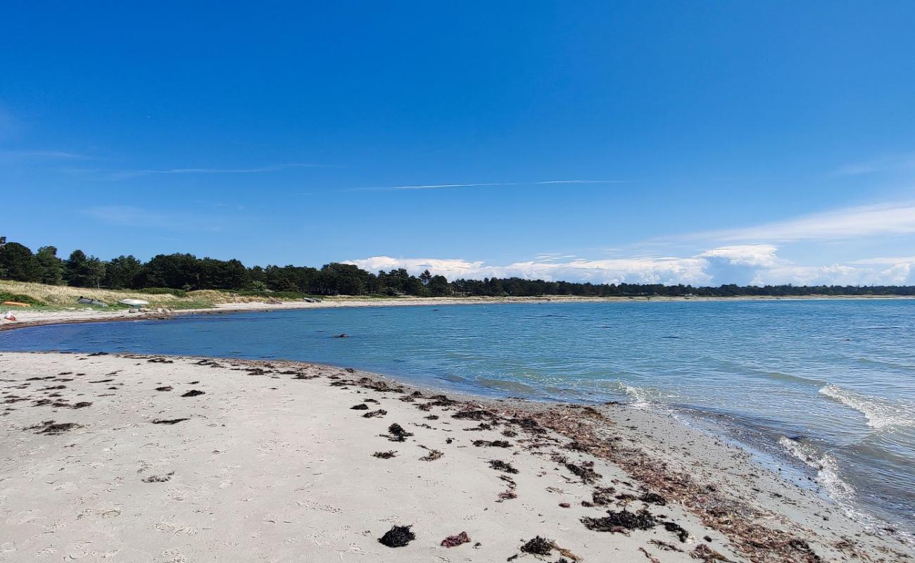 Tengslemark Beach'in fotoğrafı parlak kum yüzey ile