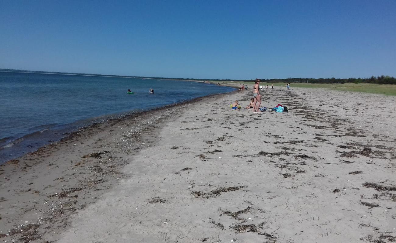 Hove Beach'in fotoğrafı parlak kum yüzey ile