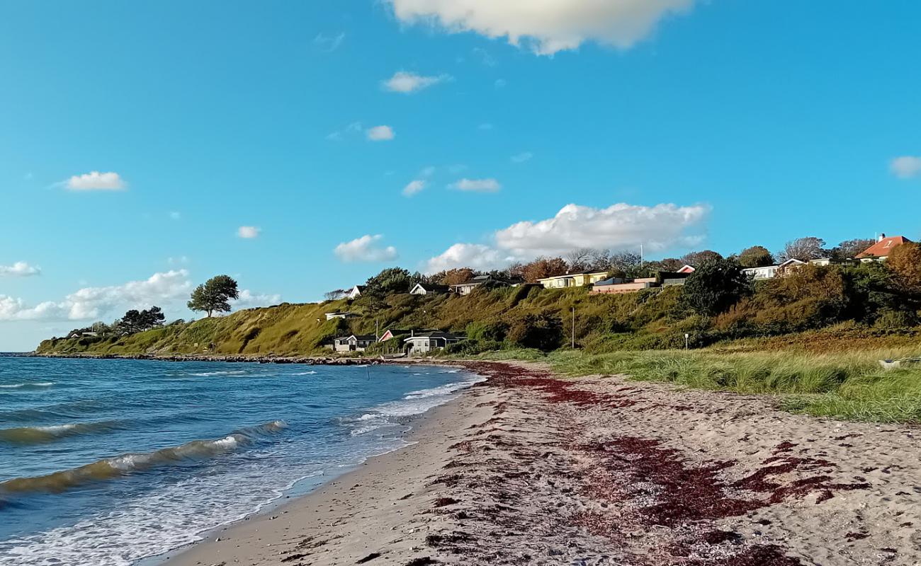 Naesby Beach'in fotoğrafı açık bej kum yüzey ile
