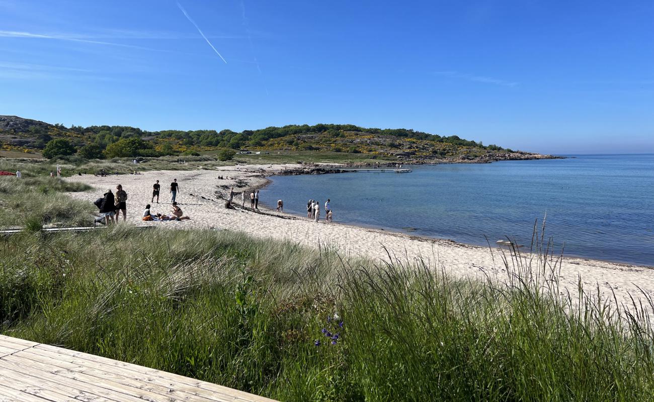 Sandvig Strand Bornholm'in fotoğrafı açık bej kum yüzey ile