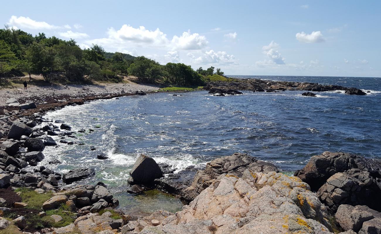 Stentarne Strand'in fotoğrafı kayalık arazi yüzey ile