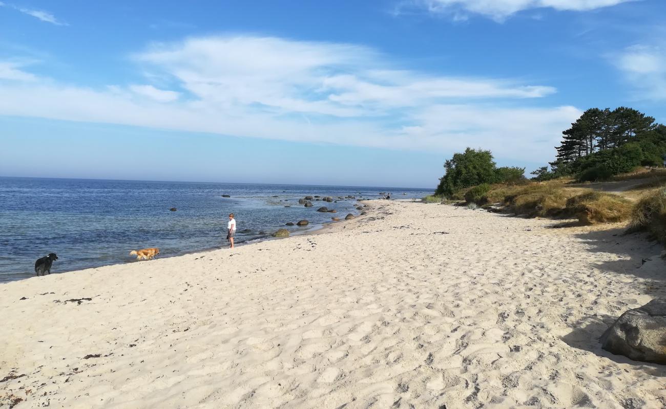 Hasle Strand'in fotoğrafı açık bej kum yüzey ile