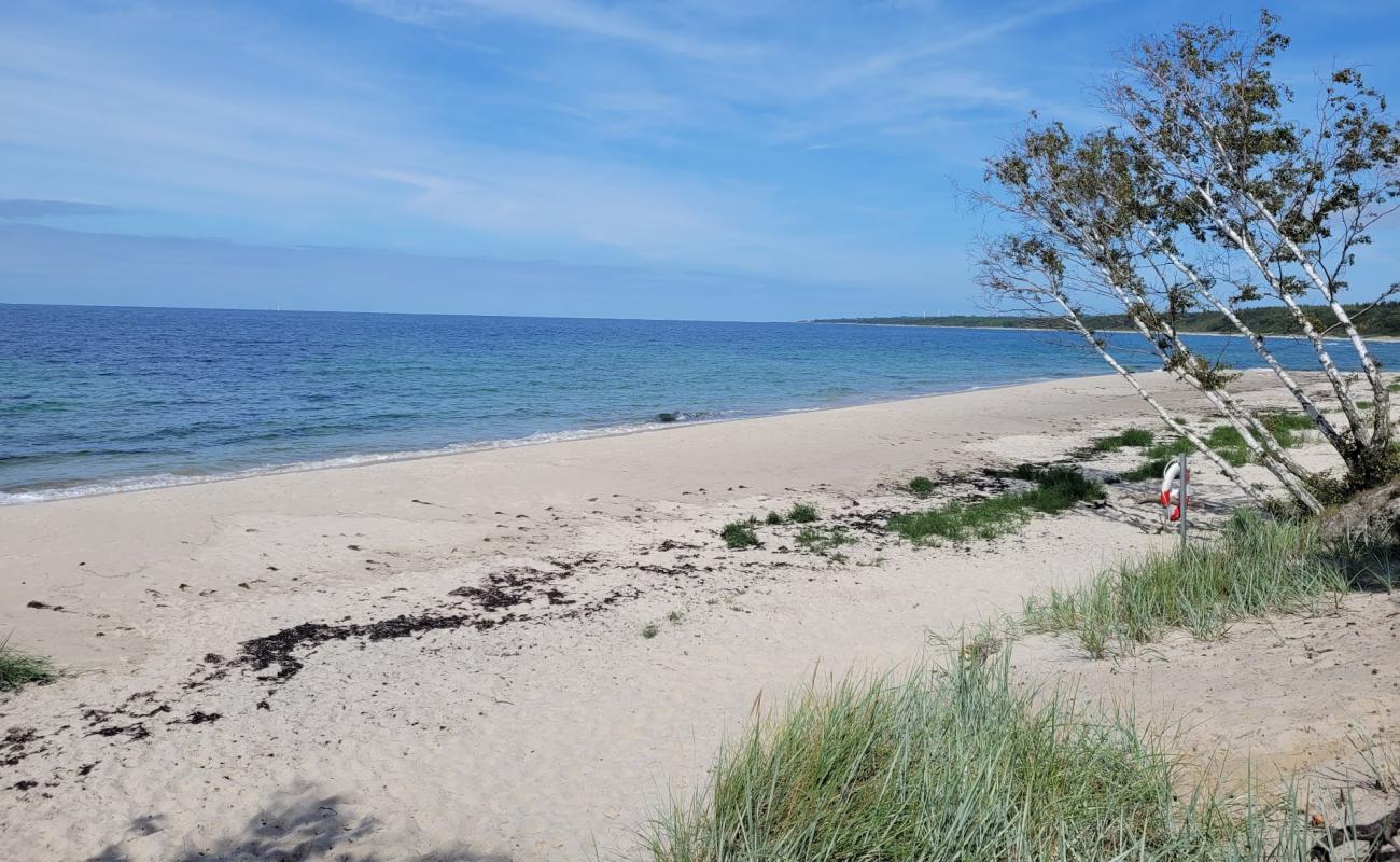 Antoinette Beach'in fotoğrafı açık bej kum yüzey ile