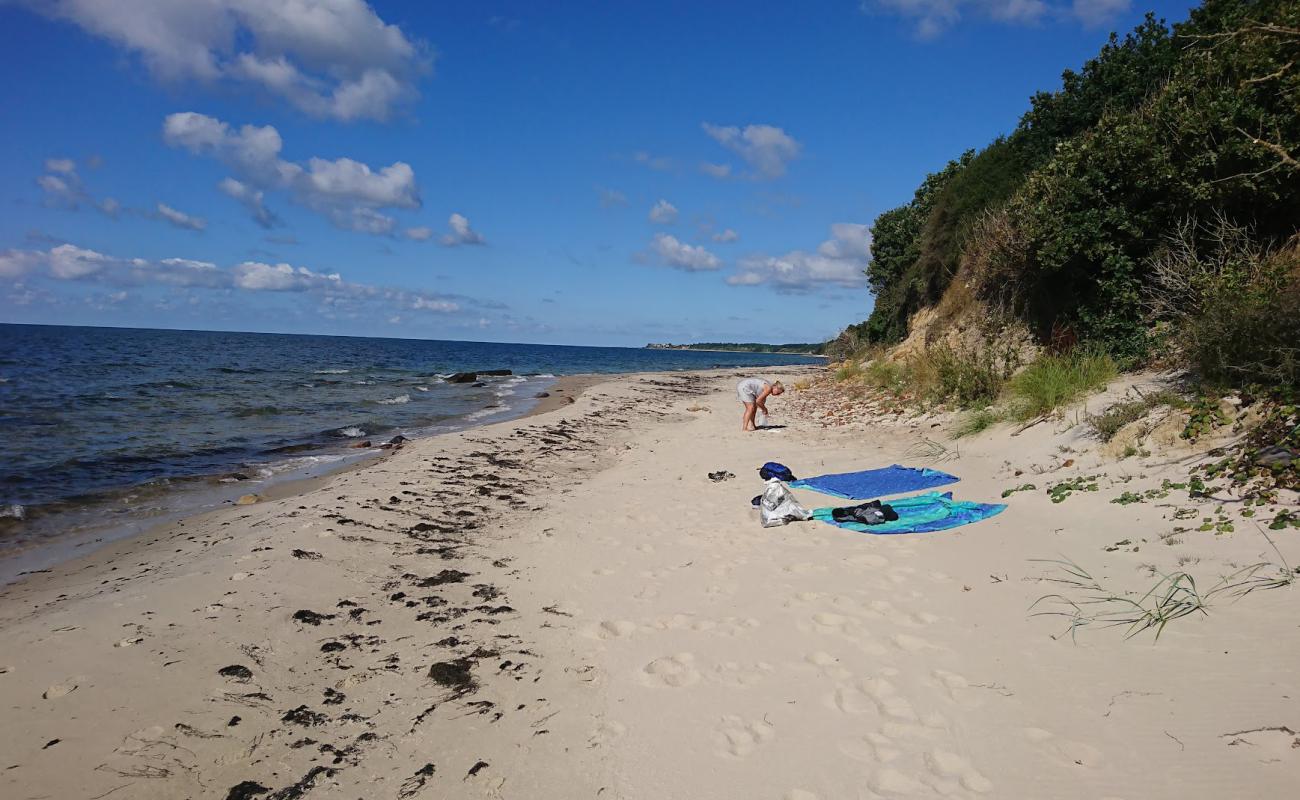 Sose Strand'in fotoğrafı parlak kum yüzey ile