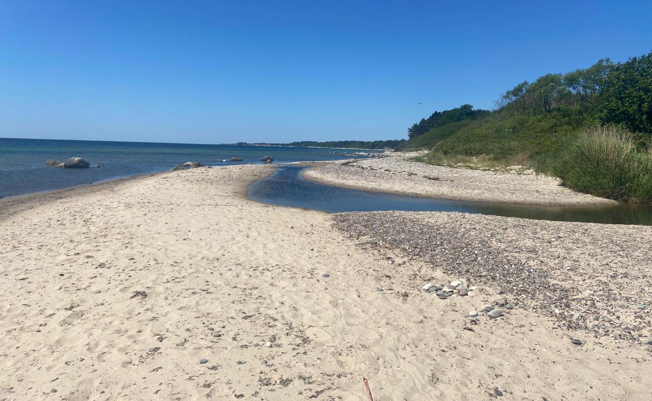 Strand Molle Odde'in fotoğrafı parlak kum yüzey ile