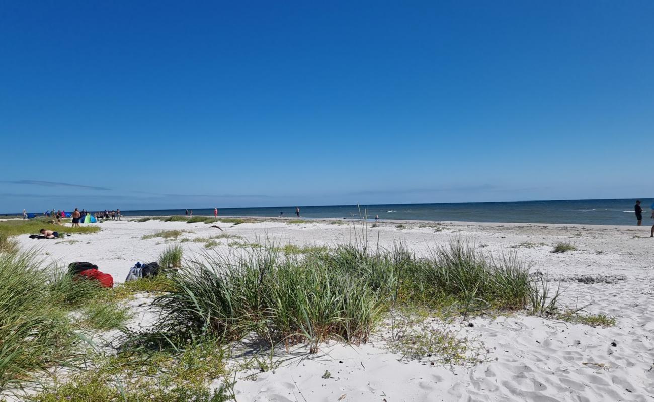 Dueodde Beach'in fotoğrafı beyaz kum yüzey ile