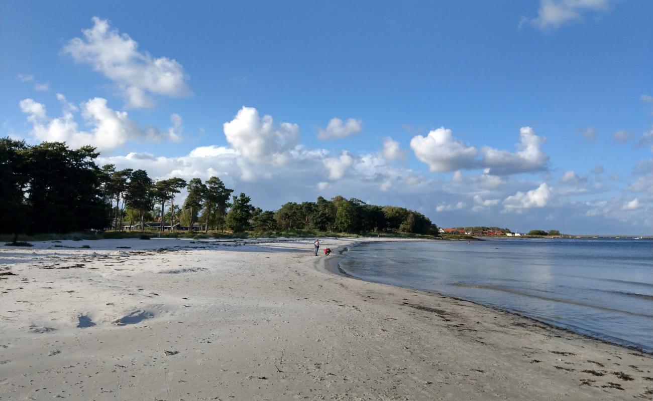 Snogebaek Strand'in fotoğrafı parlak kum yüzey ile