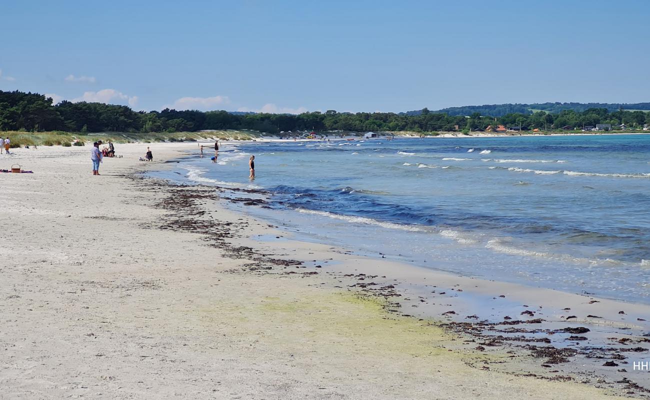 Balka Strand Bornholm'in fotoğrafı parlak kum yüzey ile