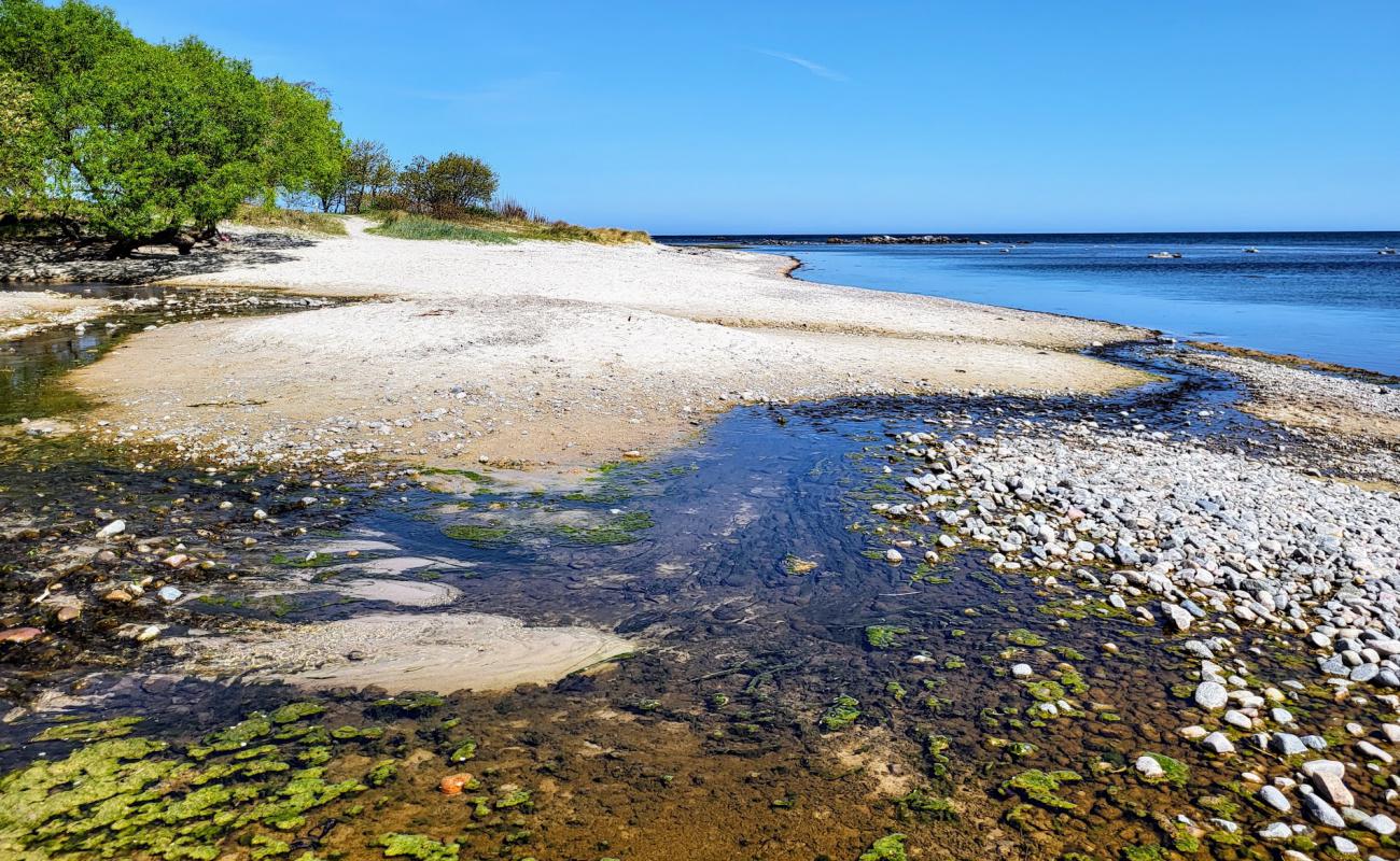 Melsted Beach'in fotoğrafı parlak kum yüzey ile