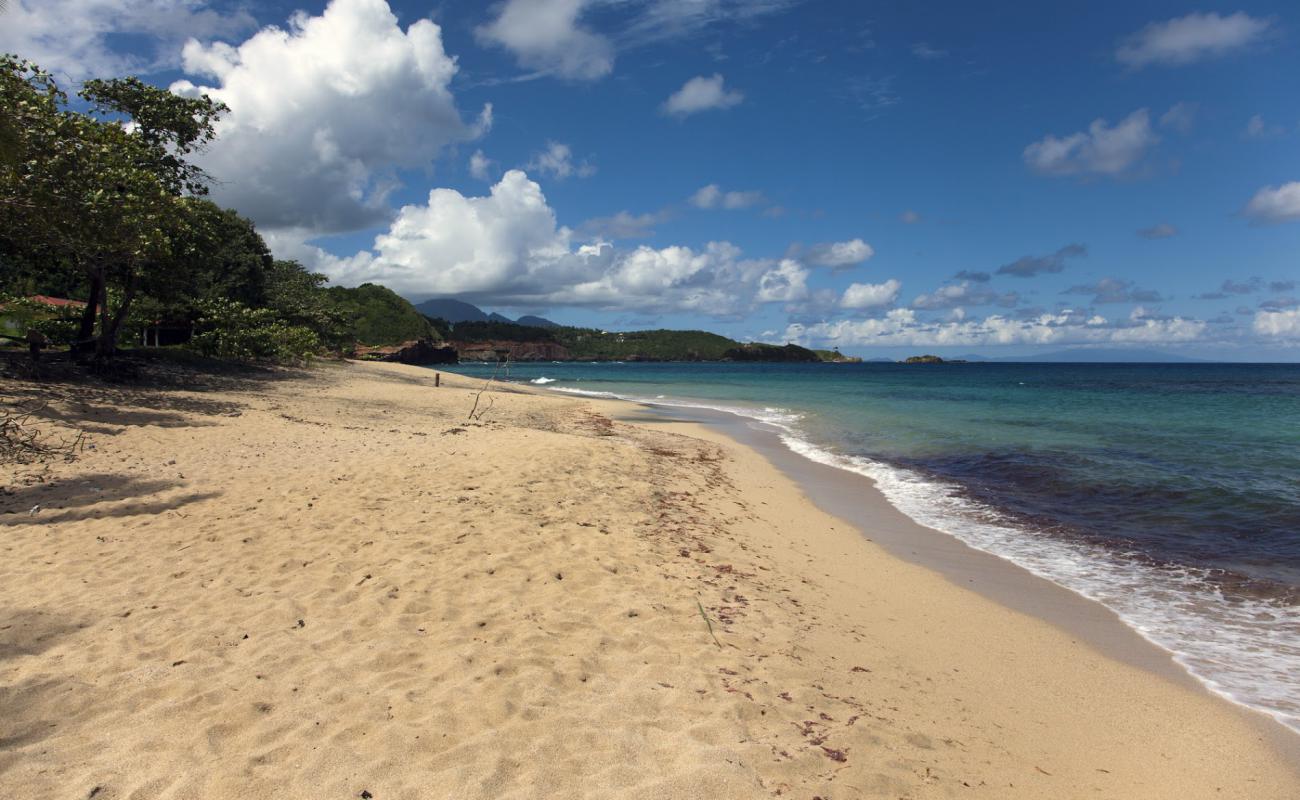 La Taile Bay Beach'in fotoğrafı kahverengi kum yüzey ile