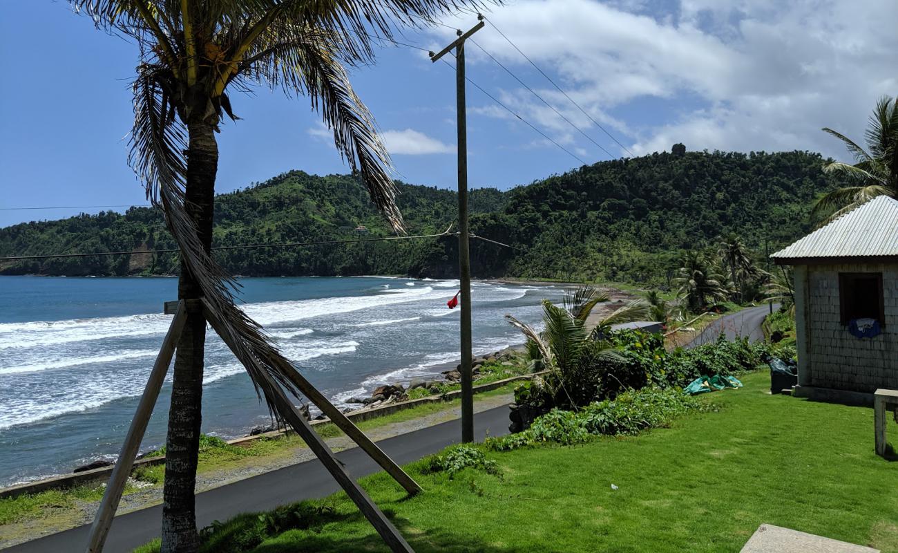 Pagua Bay Beach'in fotoğrafı gri kum yüzey ile