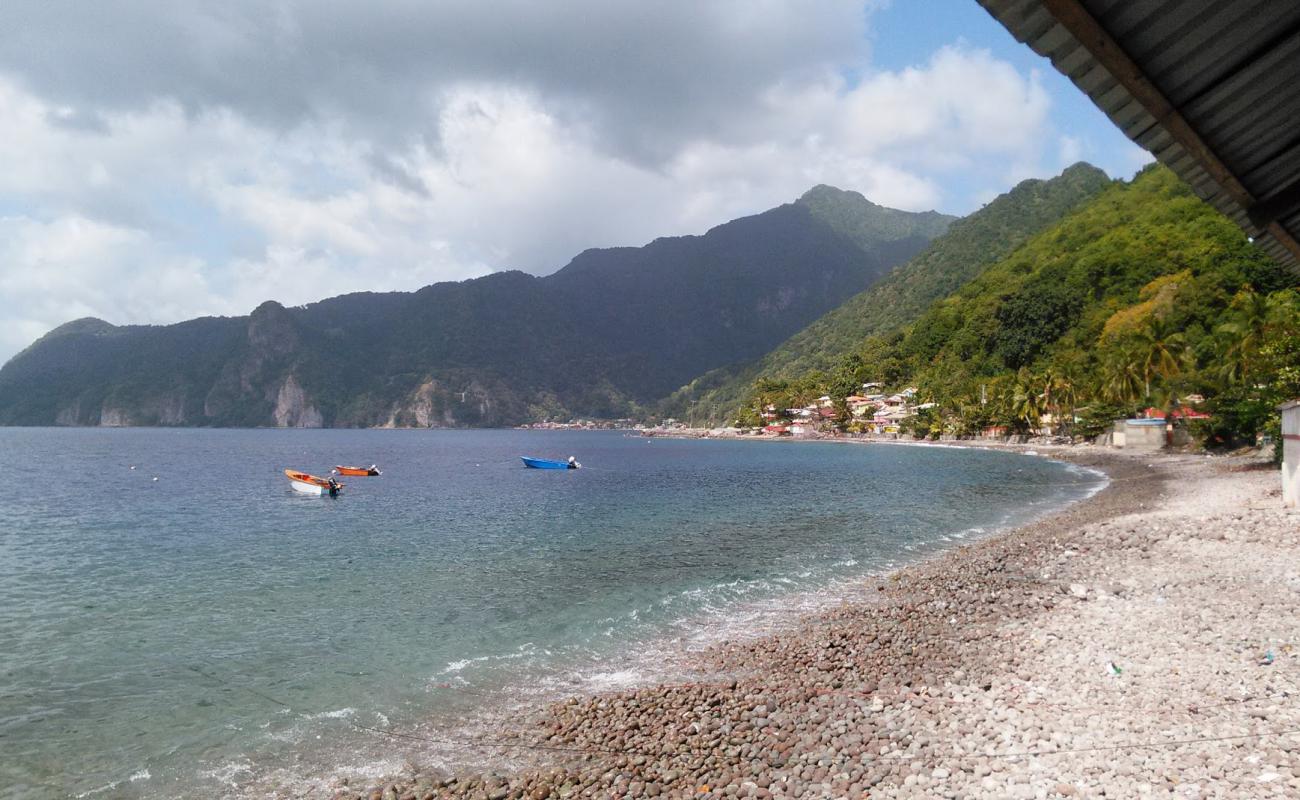 Scotts Head Beach'in fotoğrafı gri çakıl taşı yüzey ile