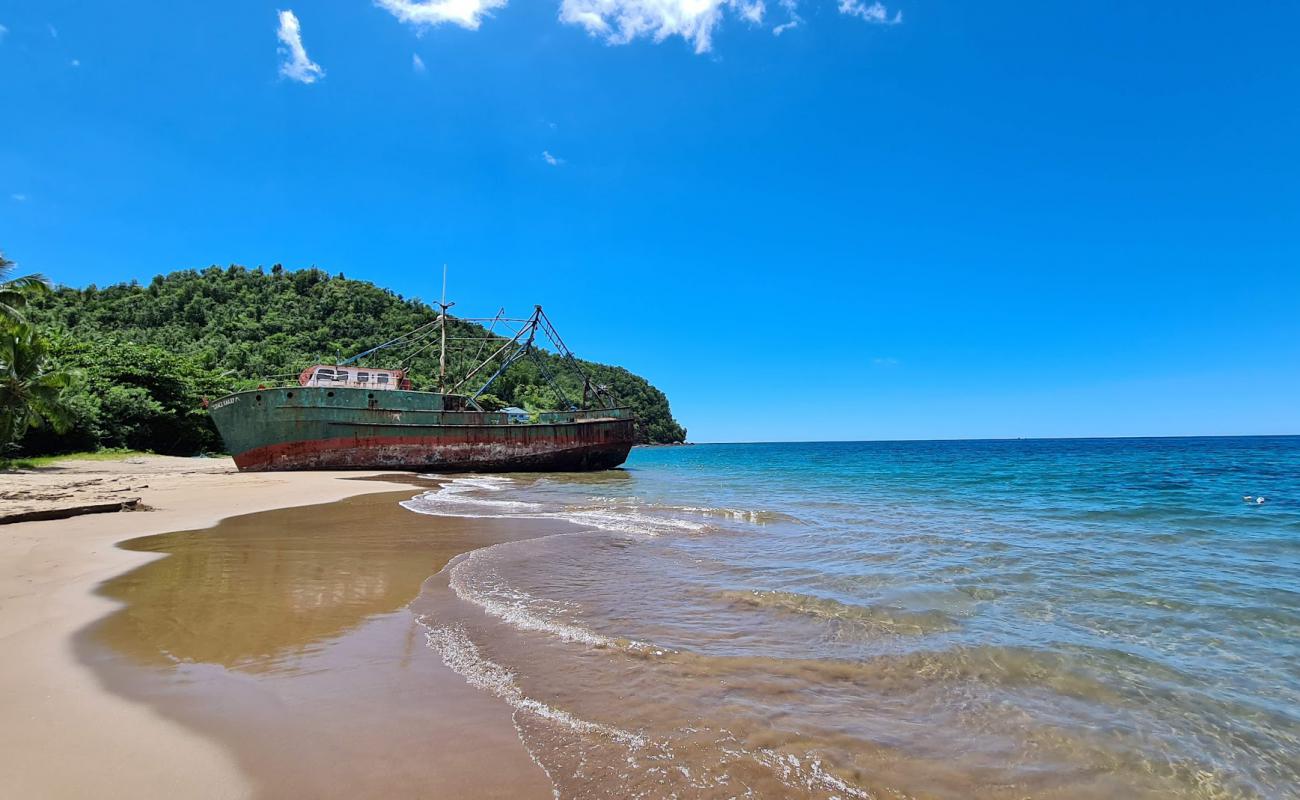 Ripaton Beach'in fotoğrafı kahverengi kum yüzey ile