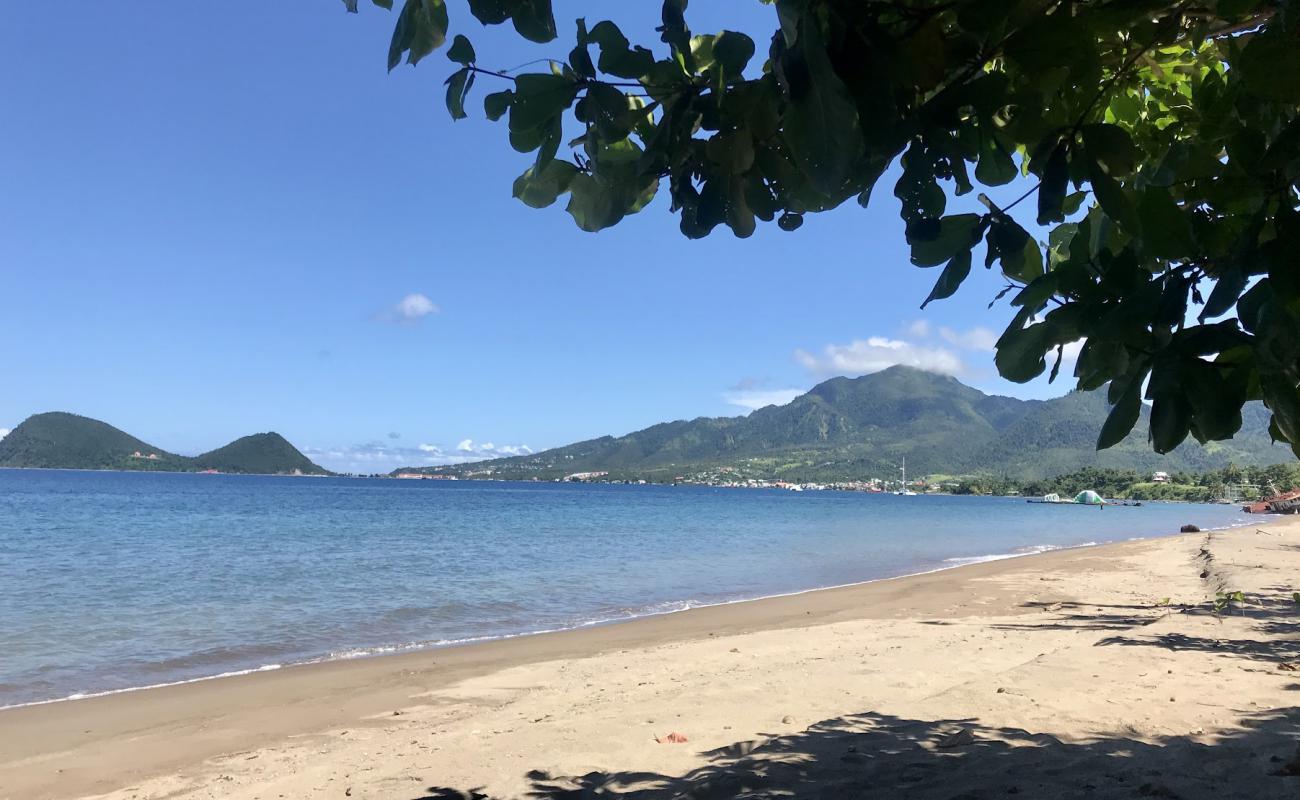 Coconut Beach'in fotoğrafı kahverengi kum yüzey ile