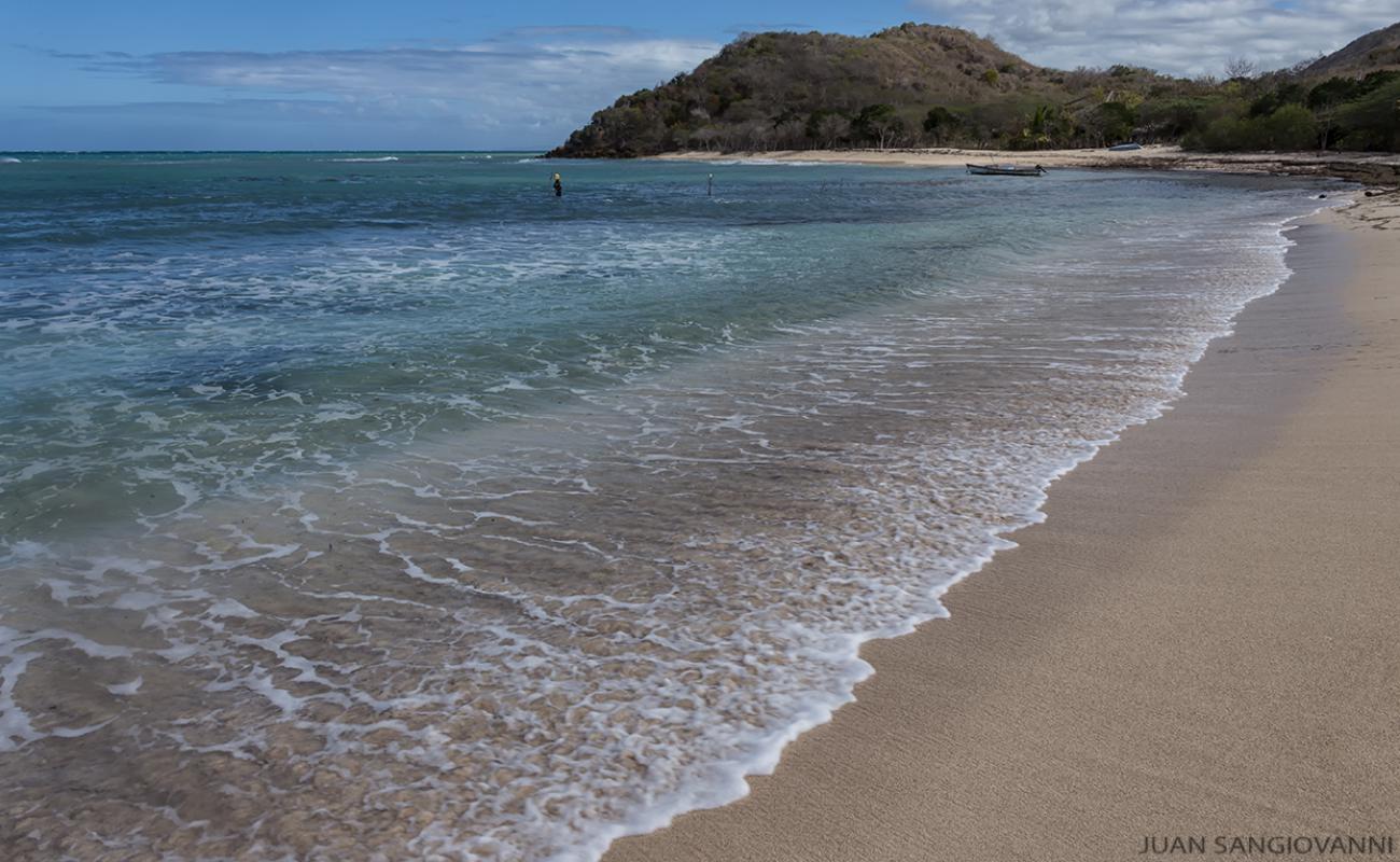 Playa Los Cocos'in fotoğrafı çakıl ile kum yüzey ile