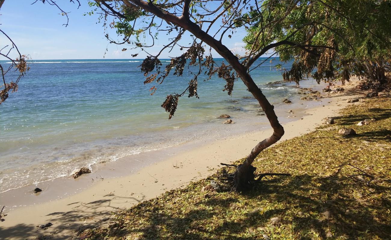 Playa El Castillo'in fotoğrafı parlak kum yüzey ile