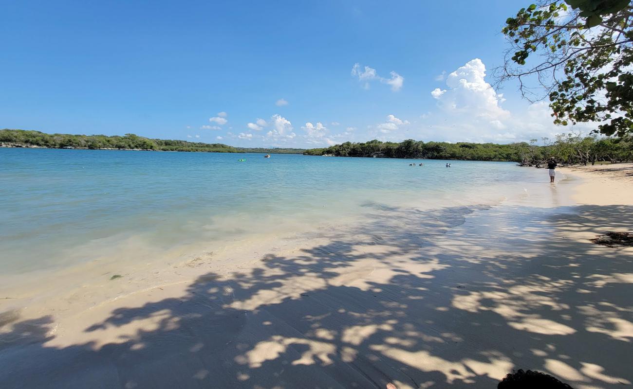 Playa Chiquita Luperon'in fotoğrafı açık bej kum yüzey ile