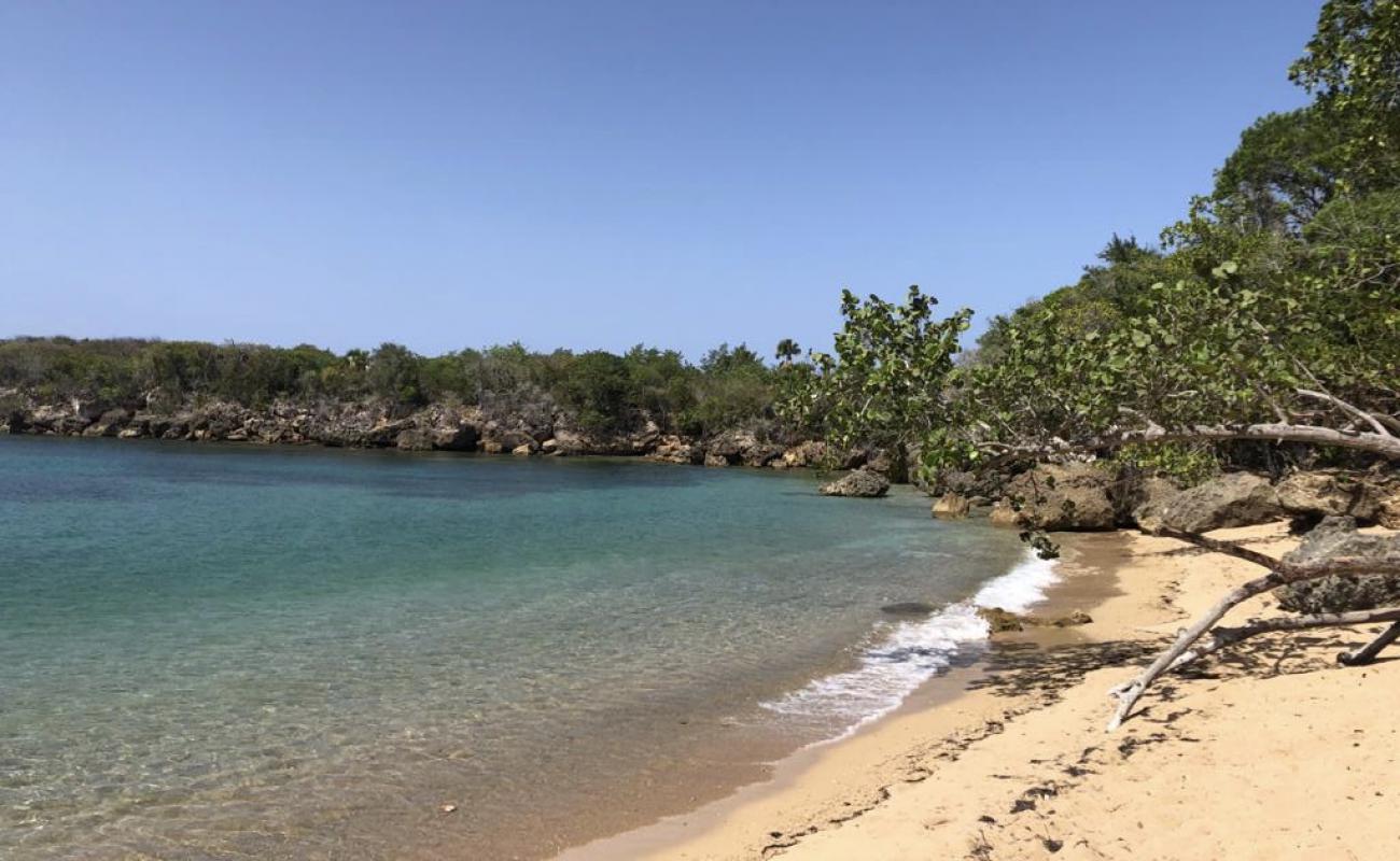 Playa de Cambiaso'in fotoğrafı i̇nce bej kum yüzey ile