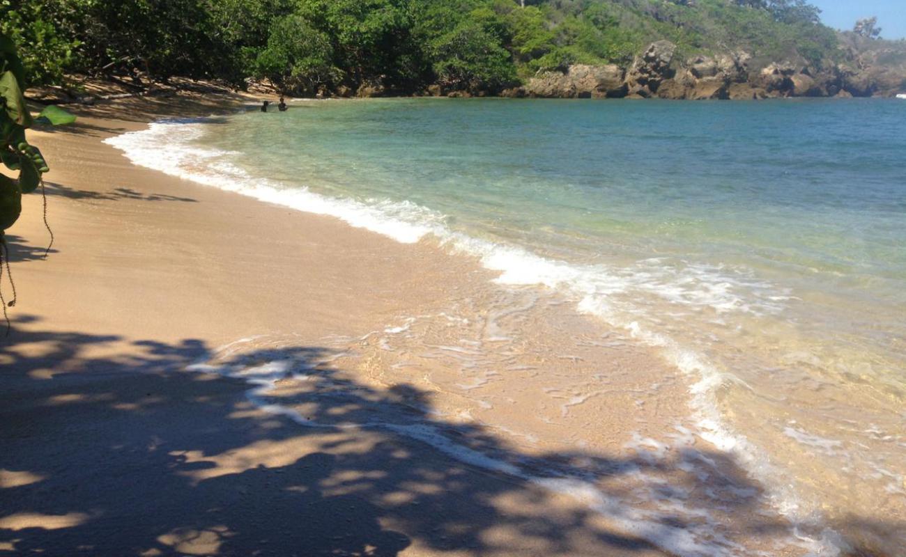 Playa Delfin'in fotoğrafı açık bej kum yüzey ile