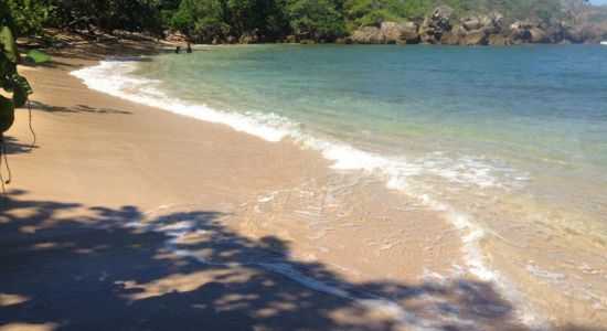 Playa Delfin