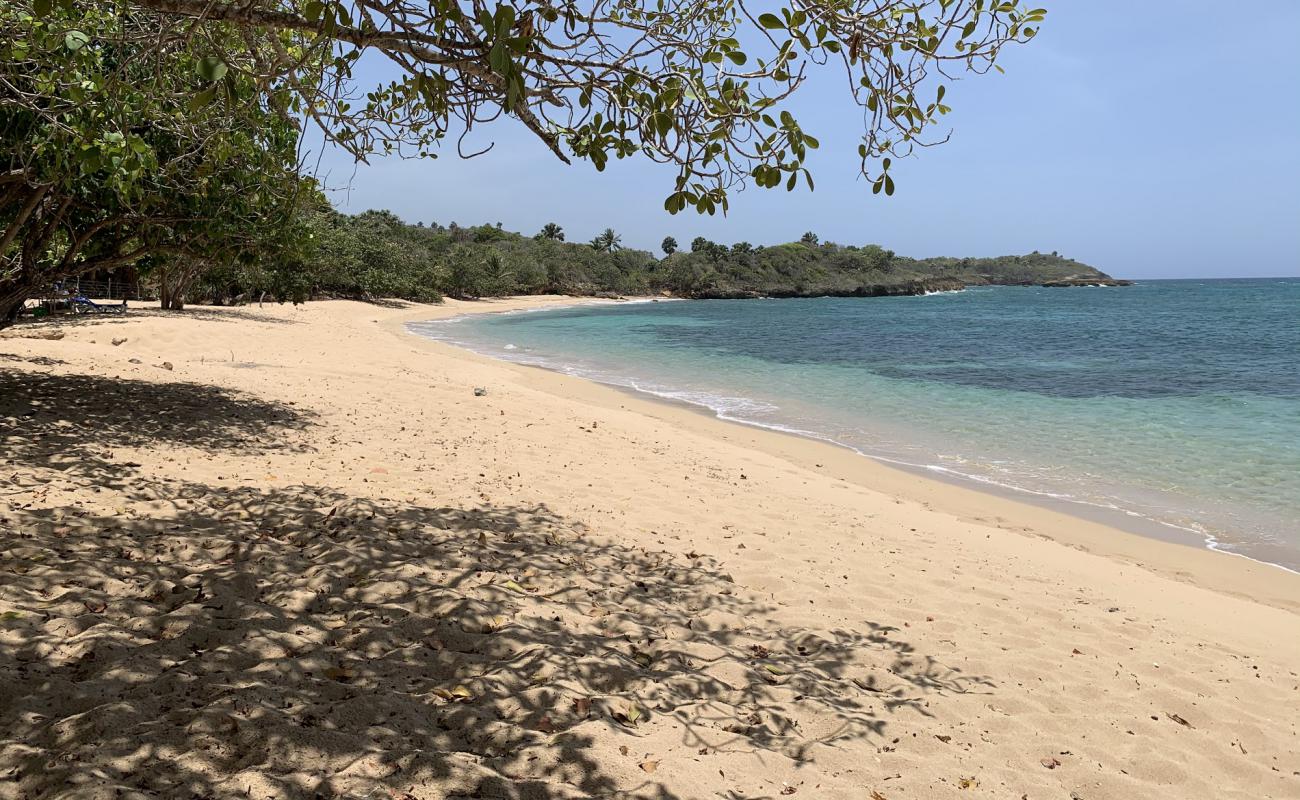 Playa Larga'in fotoğrafı parlak kum yüzey ile