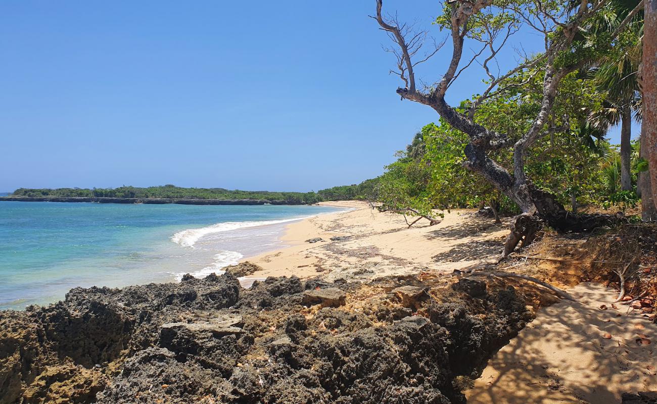 Playa de Lola'in fotoğrafı açık bej kum yüzey ile
