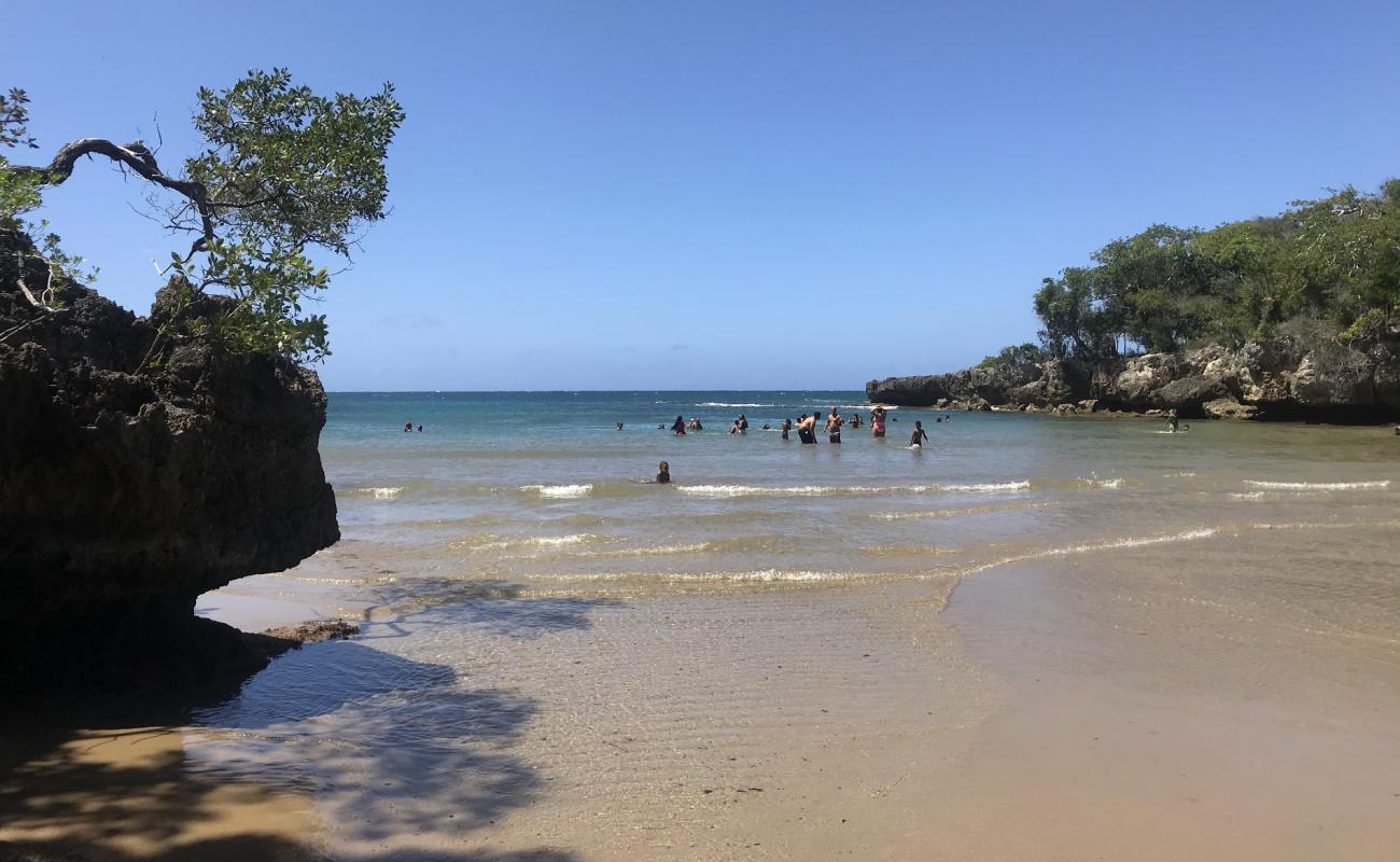 Playa de la Patilla'in fotoğrafı açık bej kum yüzey ile