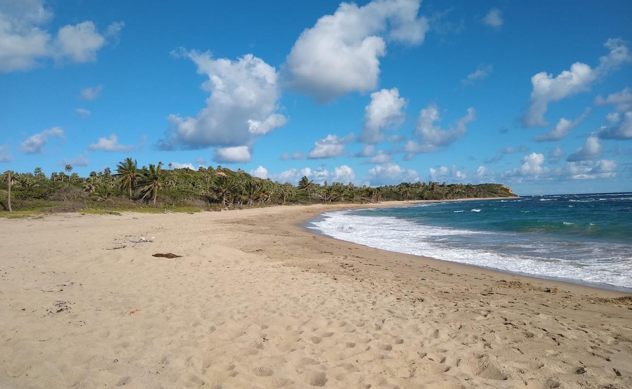 Playa Guzmancito'in fotoğrafı açık bej kum yüzey ile