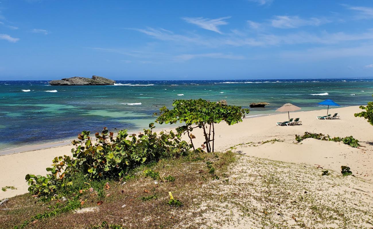 Cosita rica beach'in fotoğrafı parlak kum yüzey ile