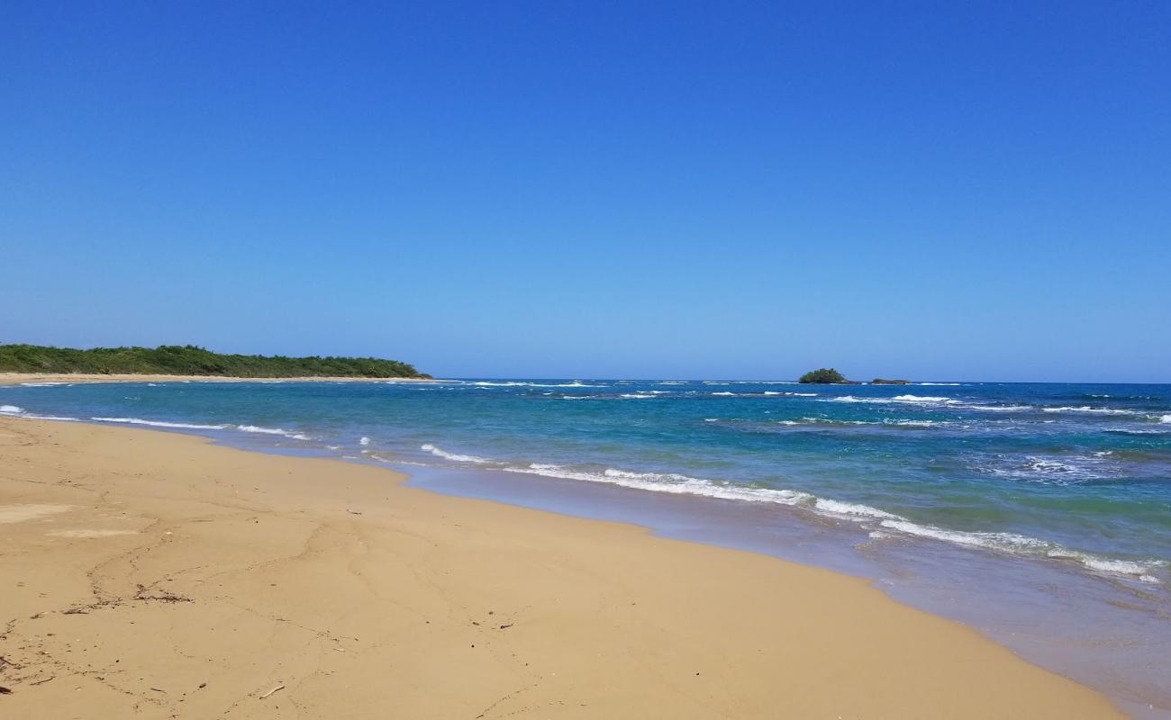 Playa de Cangrejo'in fotoğrafı parlak kum yüzey ile