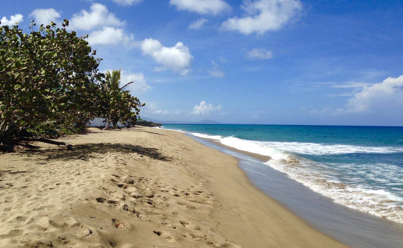 Laguna beach'in fotoğrafı i̇nce bej kum yüzey ile