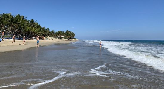 Cabarete Plajı