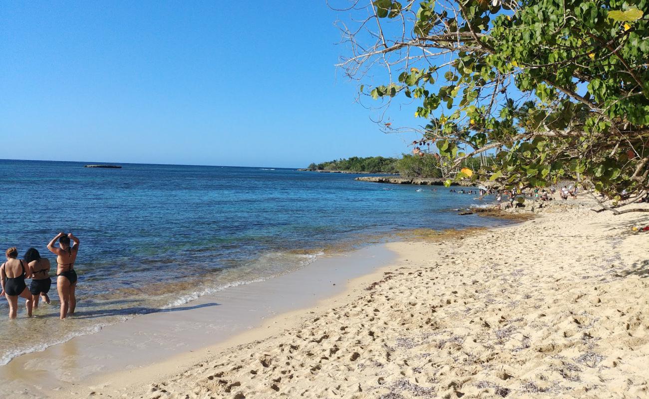 Playa de Los Muertos'in fotoğrafı açık bej kum yüzey ile