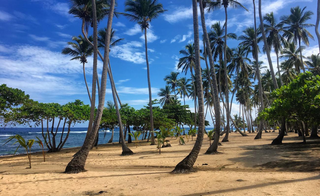 Playa Caleton Grande'in fotoğrafı açık bej kum yüzey ile