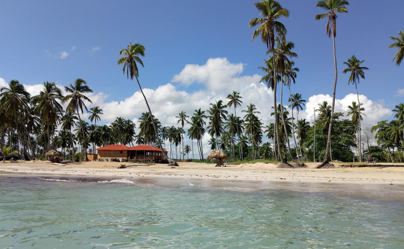 Playa Los Cocos'in fotoğrafı açık bej kum yüzey ile