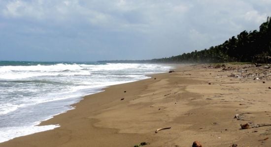 Playa El Juncal