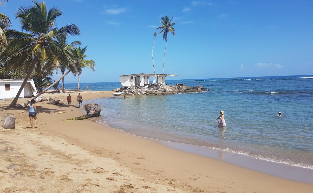 Playa los Gringos'in fotoğrafı i̇nce bej kum yüzey ile