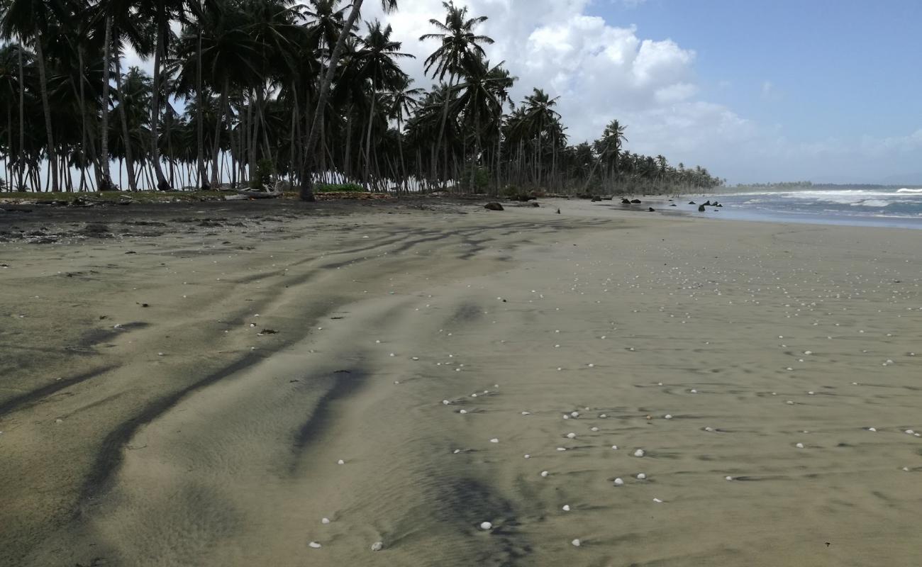 Playa Cayenas'in fotoğrafı açık bej kum yüzey ile