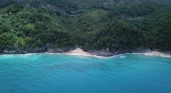 Playa William