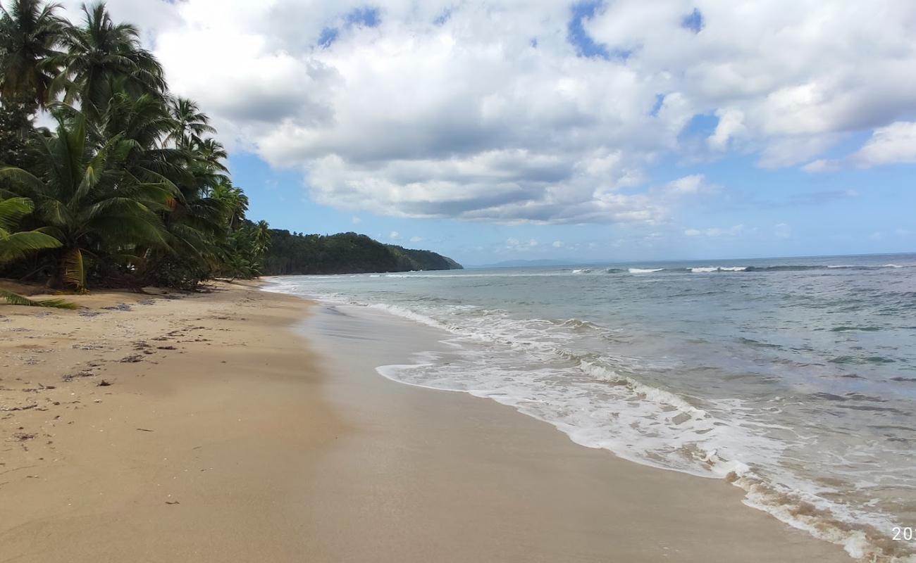 Playa Expiracion de Coson'in fotoğrafı i̇nce bej kum yüzey ile