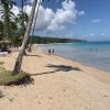 Sublime Las Terrenas Plajı