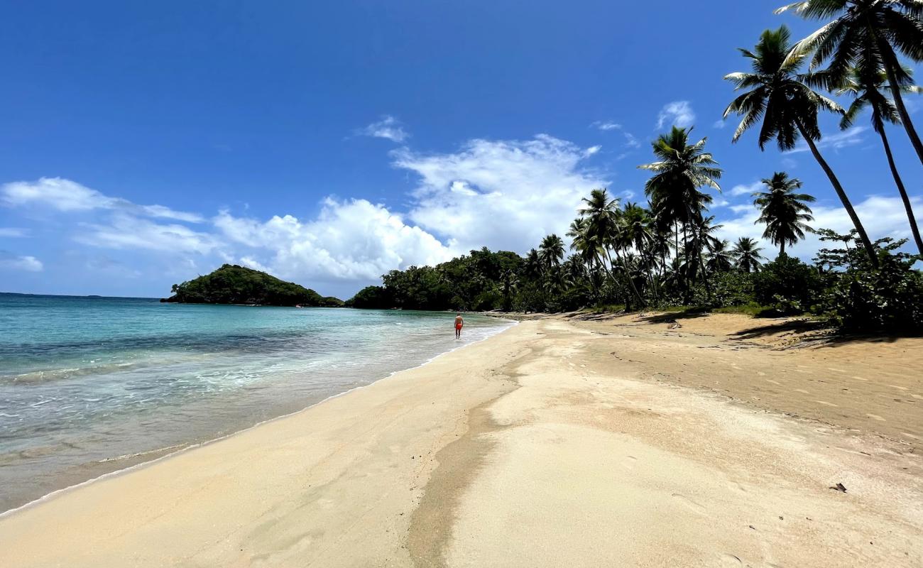 Playa Escondida'in fotoğrafı açık bej kum yüzey ile