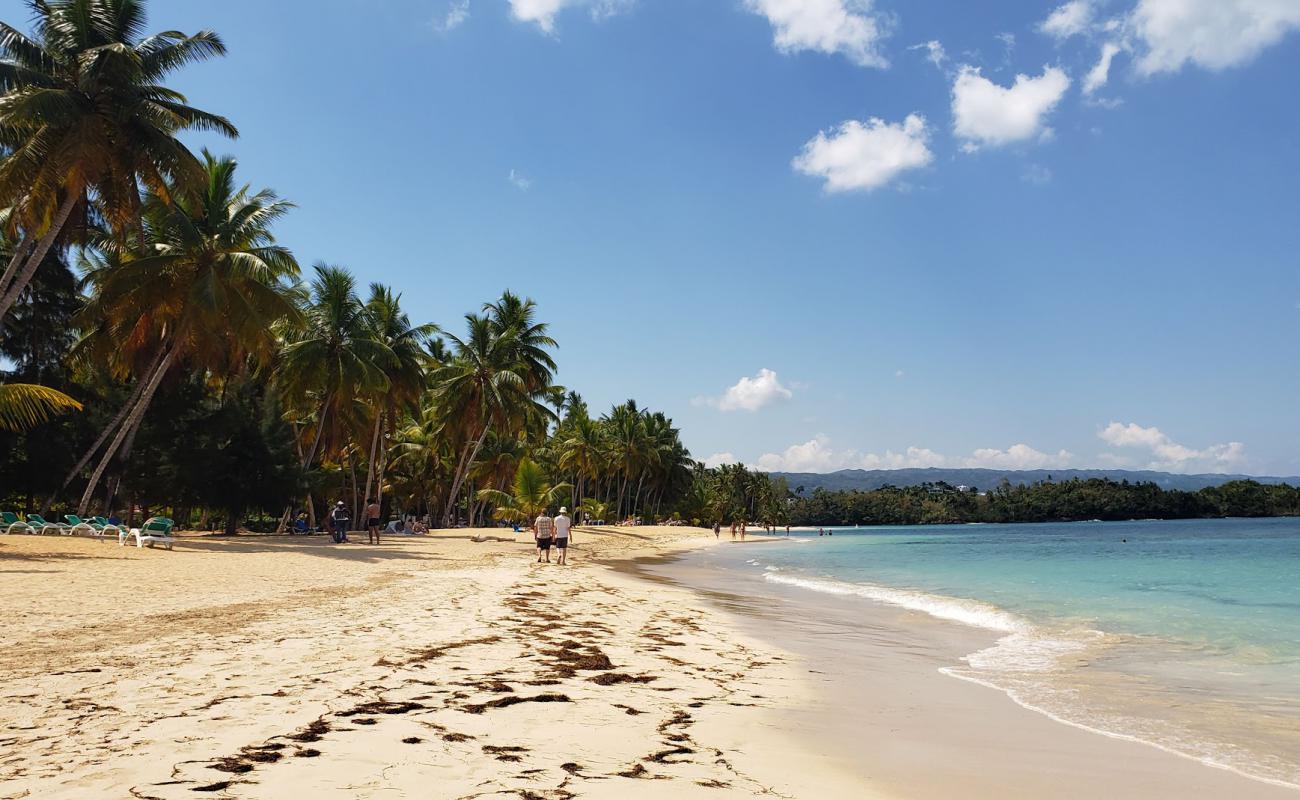 Playa Las Terrenas'in fotoğrafı açık bej kum yüzey ile