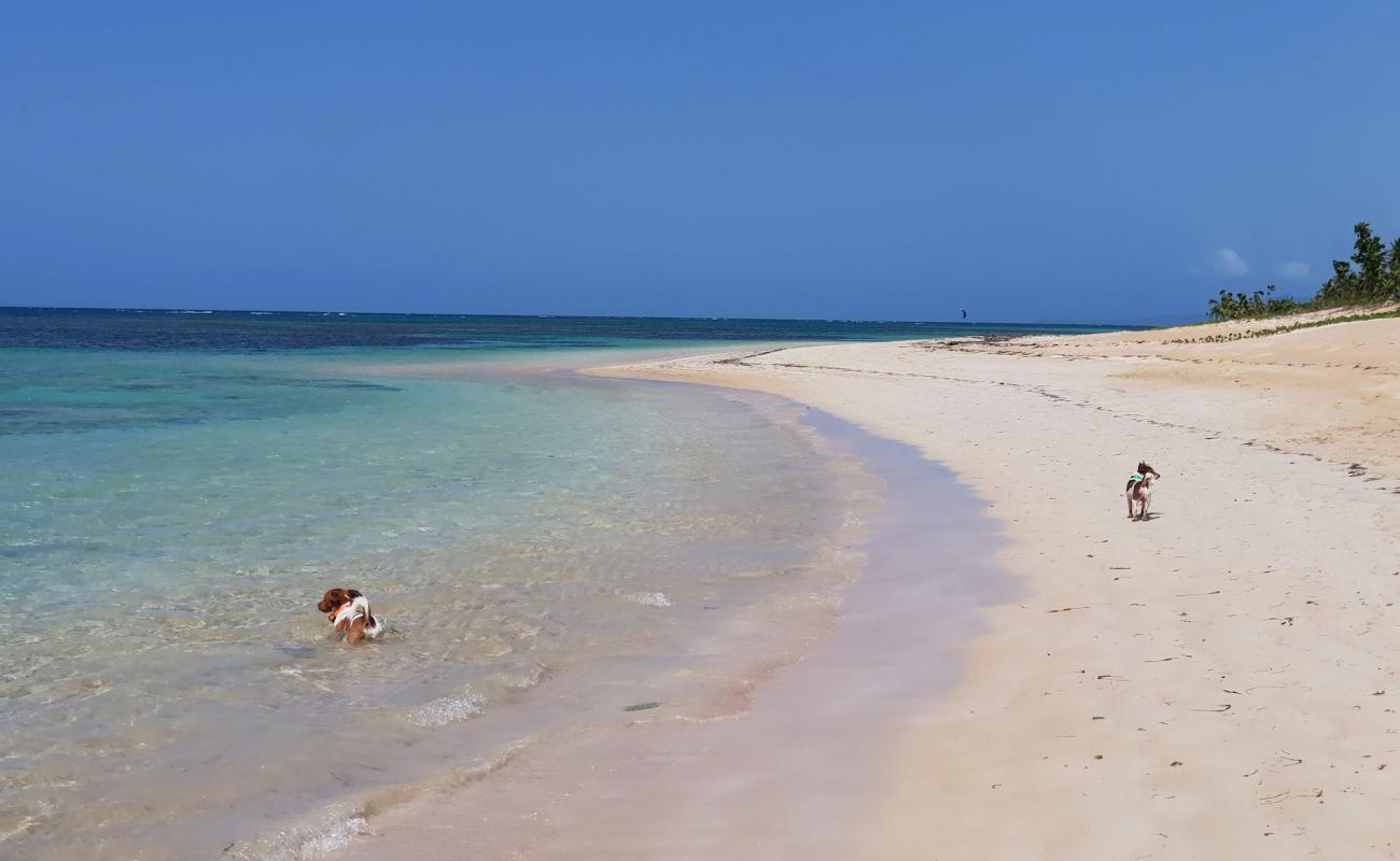 Playa El Portillo'in fotoğrafı i̇nce bej kum yüzey ile
