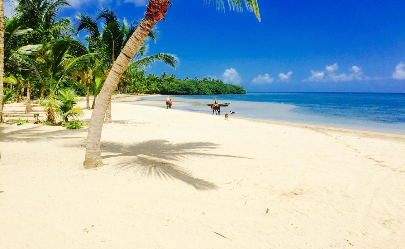 Playa Estillero'in fotoğrafı parlak ince kum yüzey ile