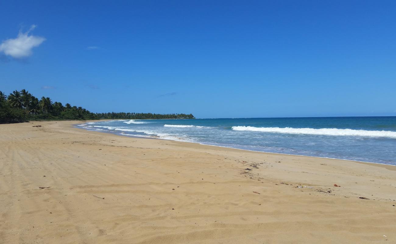 Playa El Limon'in fotoğrafı parlak ince kum yüzey ile