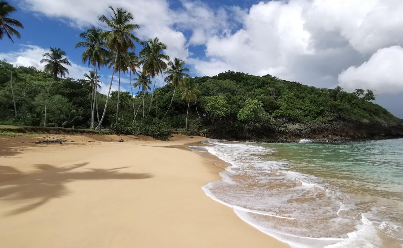 Playa Moron'in fotoğrafı parlak ince kum yüzey ile