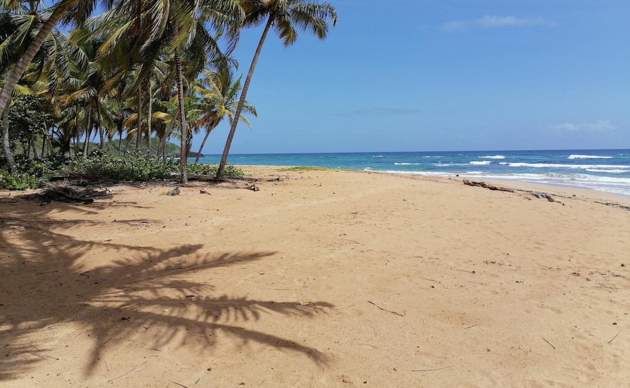 Playa Lanza del Norte'in fotoğrafı i̇nce kahverengi kum yüzey ile