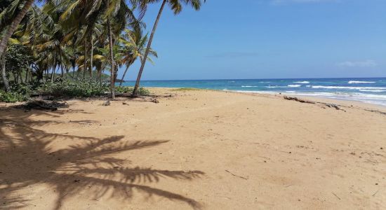 Playa Lanza del Norte