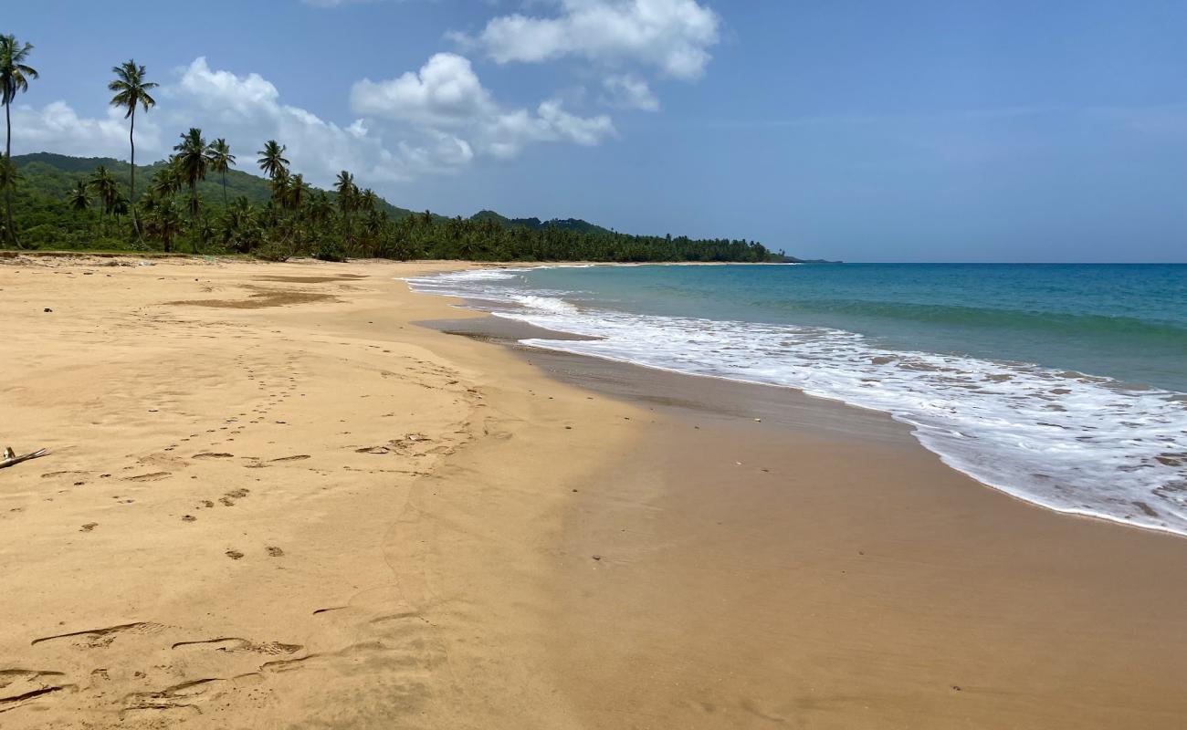 Playa la Cana'in fotoğrafı i̇nce kahverengi kum yüzey ile